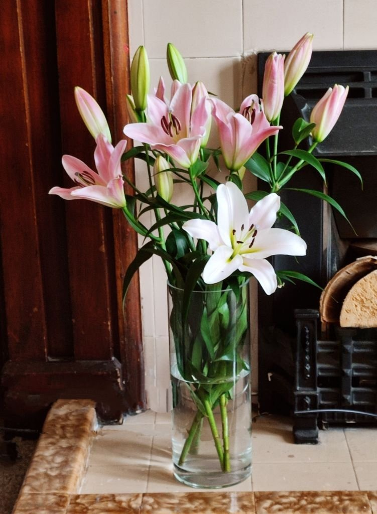 Lilium - Ramo Premium (6, 12 o 18 Varas)