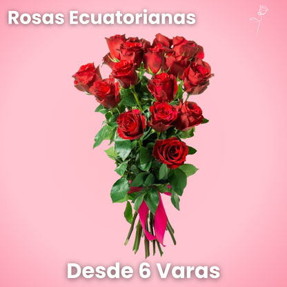 Rosas Ecuatorianas - Ramo Premium (6, 12 o 18 Varas)