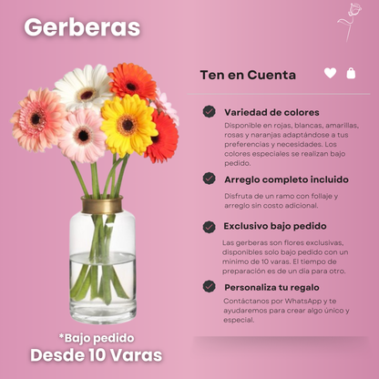 Gerberas - Ramo Exclusivo (desde 10 Varas)