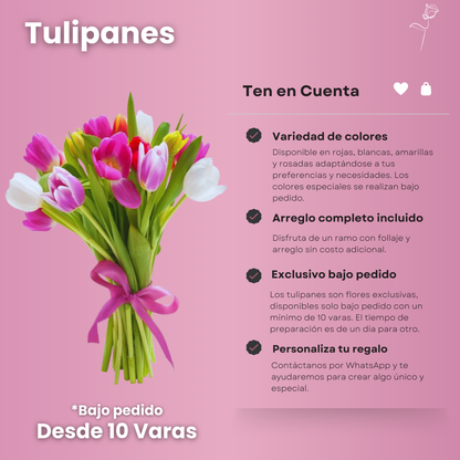 Tulipanes - Ramo Exclusivo (desde 10 Varas)