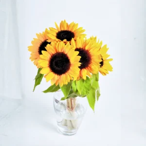Girasoles premium amarillos en florero de vidrio