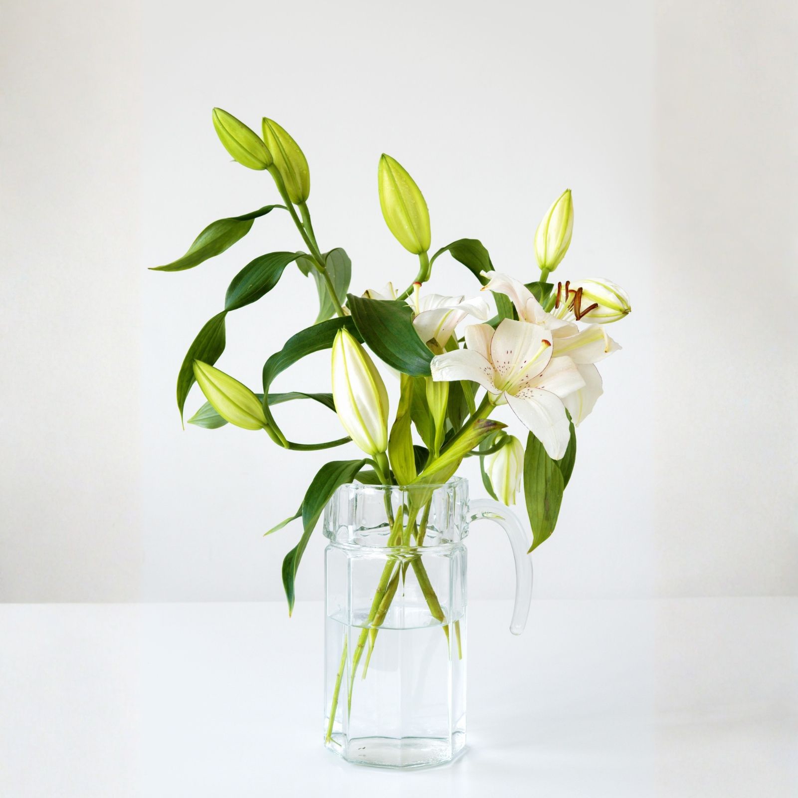 Lilium premium ecuatoriano