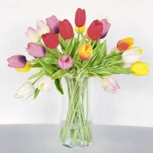 Tulipanes premium multicolor en florero de vidrio